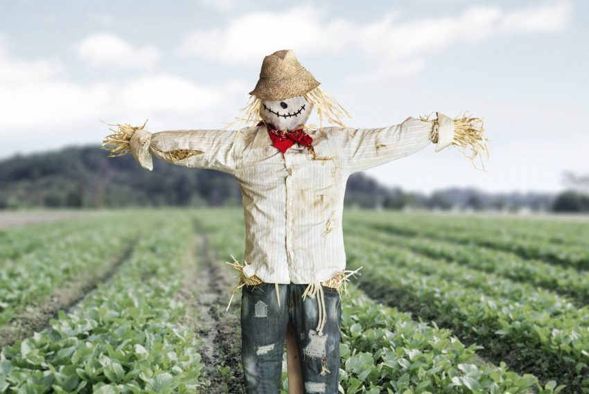 Field Scarecrow